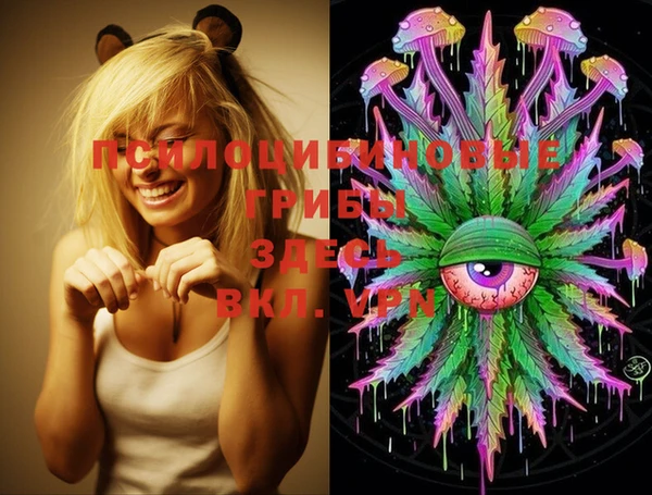 МДПВ Покров